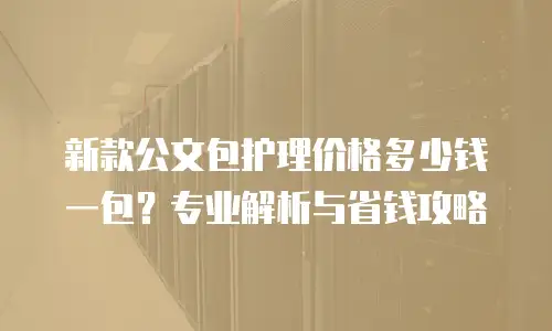 新款公文包护理价格多少钱一包？专业解析与省钱攻略