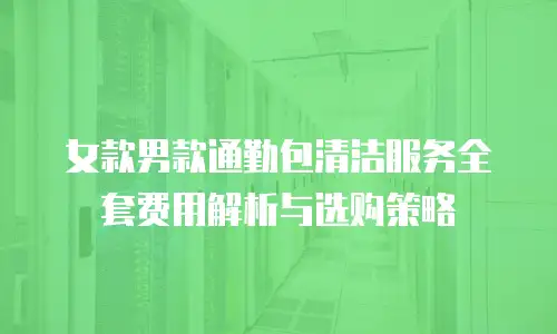 女款男款通勤包清洁服务全套费用解析与选购策略