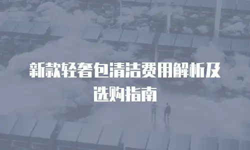 新款轻奢包清洁费用解析及选购指南