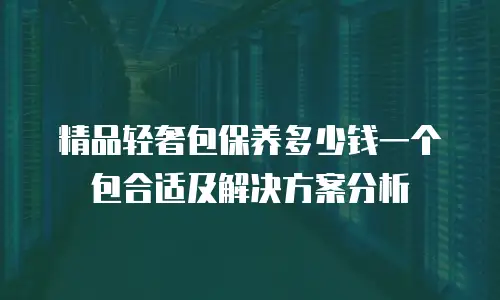 精品轻奢包保养多少钱一个包合适及解决方案分析