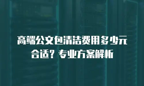 高端公文包清洁费用多少元合适？专业方案解析
