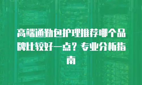 高端通勤包护理推荐哪个品牌比较好一点？专业分析指南