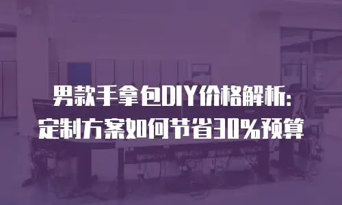 男款手拿包DIY价格解析：定制方案如何节省30%预算
