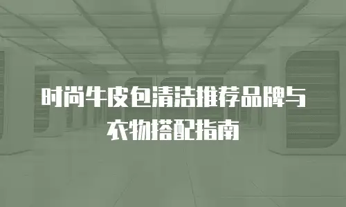 时尚牛皮包清洁推荐品牌与衣物搭配指南