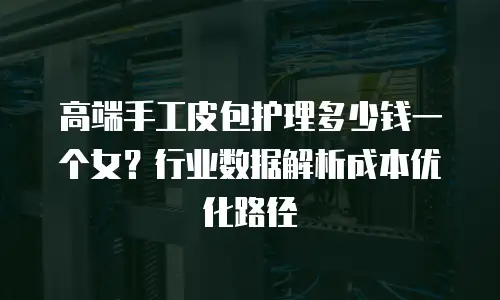 高端手工皮包护理多少钱一个女？行业数据解析成本优化路径