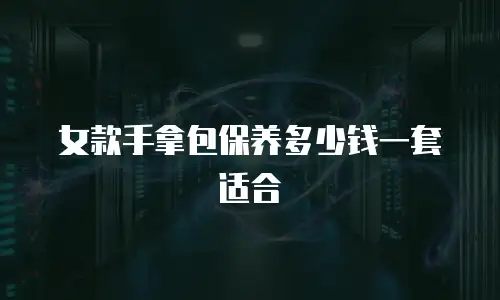 女款手拿包保养多少钱一套适合