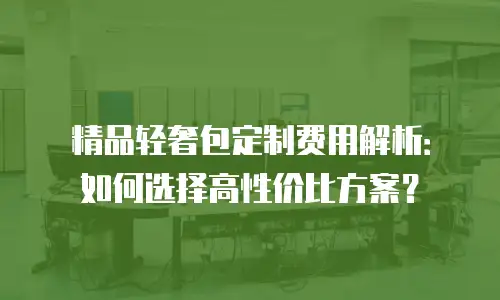精品轻奢包定制费用解析：如何选择高性价比方案？