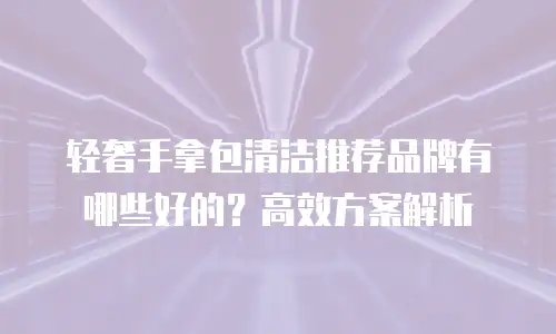 轻奢手拿包清洁推荐品牌有哪些好的？高效方案解析