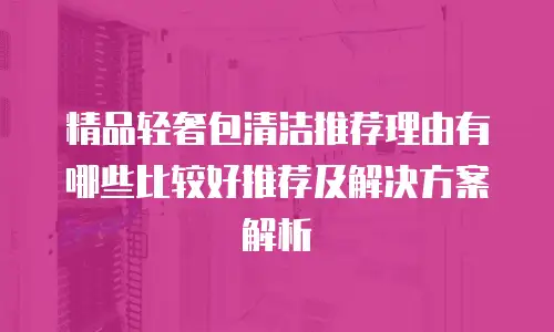 精品轻奢包清洁推荐理由有哪些比较好推荐及解决方案解析