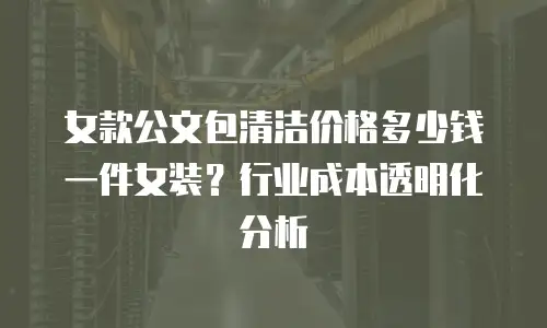 女款公文包清洁价格多少钱一件女装？行业成本透明化分析
