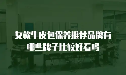 女款牛皮包保养推荐品牌有哪些牌子比较好看吗
