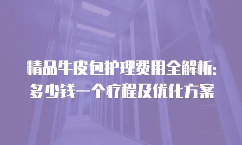 精品牛皮包护理费用全解析：多少钱一个疗程及优化方案