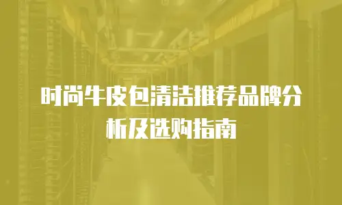 时尚牛皮包清洁推荐品牌分析及选购指南