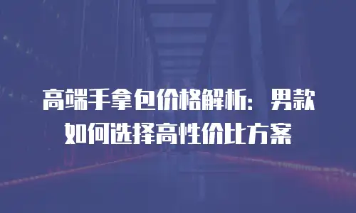 高端手拿包价格解析：男款如何选择高性价比方案