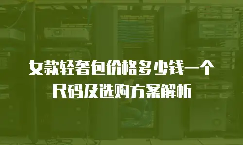 女款轻奢包价格多少钱一个尺码及选购方案解析