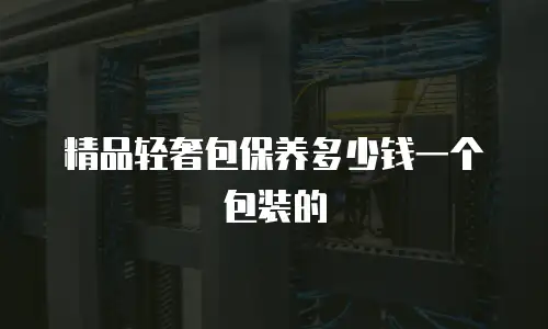 精品轻奢包保养多少钱一个包装的
