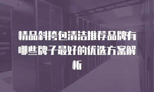 精品斜挎包清洁推荐品牌有哪些牌子最好的优选方案解析