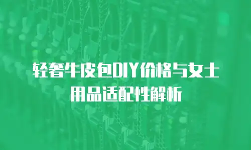 轻奢牛皮包DIY价格与女士用品适配性解析