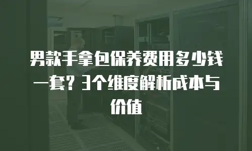 男款手拿包保养费用多少钱一套？3个维度解析成本与价值