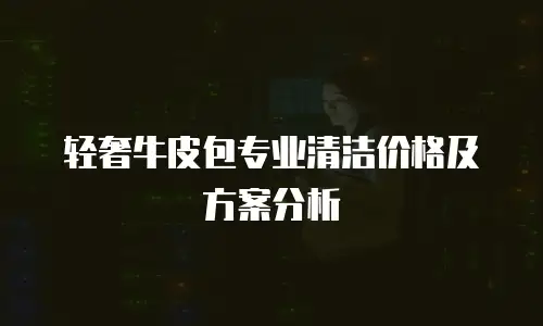 轻奢牛皮包专业清洁价格及方案分析