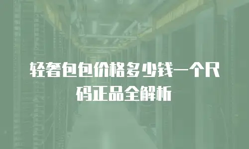 轻奢包包价格多少钱一个尺码正品全解析