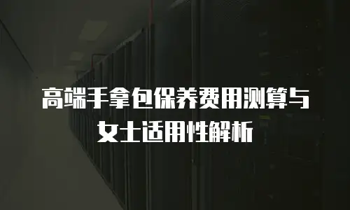 高端手拿包保养费用测算与女士适用性解析