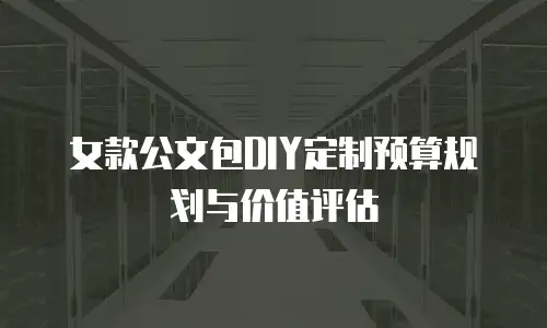 女款公文包DIY定制预算规划与价值评估