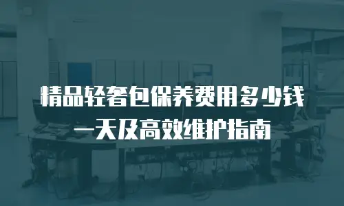 精品轻奢包保养费用多少钱一天及高效维护指南
