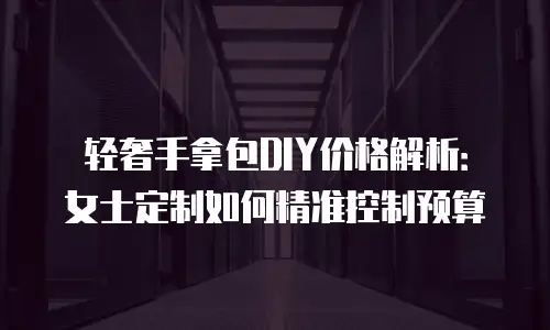 轻奢手拿包DIY价格解析：女士定制如何精准控制预算