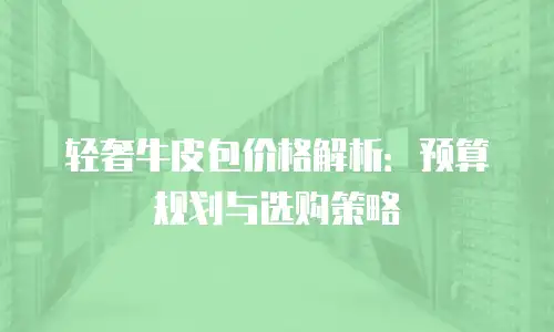 轻奢牛皮包价格解析：预算规划与选购策略