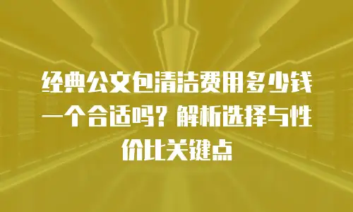 经典公文包清洁费用多少钱一个合适吗？解析选择与性价比关键点