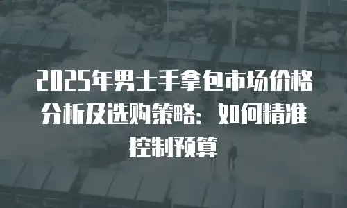 2025年男士手拿包市场价格分析及选购策略：如何精准控制预算