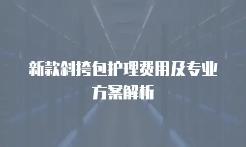 新款斜挎包护理费用及专业方案解析