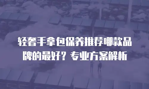 轻奢手拿包保养推荐哪款品牌的最好？专业方案解析