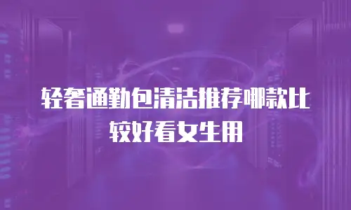 轻奢通勤包清洁推荐哪款比较好看女生用
