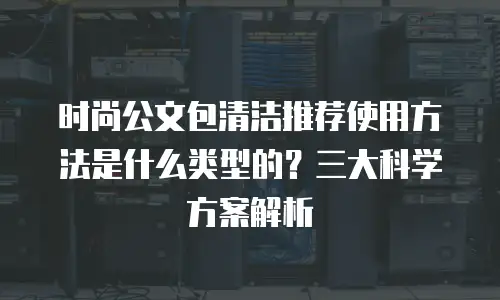 时尚公文包清洁推荐使用方法是什么类型的？三大科学方案解析