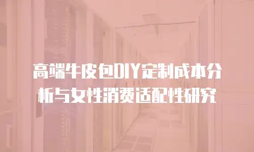 高端牛皮包DIY定制成本分析与女性消费适配性研究
