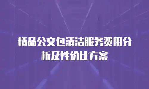 精品公文包清洁服务费用分析及性价比方案