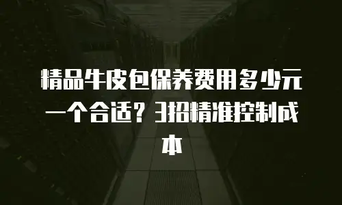 精品牛皮包保养费用多少元一个合适？3招精准控制成本