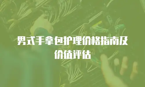 男式手拿包护理价格指南及价值评估