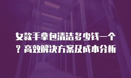 女款手拿包清洁多少钱一个？高效解决方案及成本分析