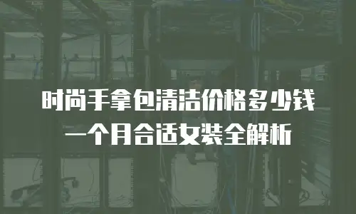 时尚手拿包清洁价格多少钱一个月合适女装全解析