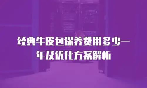 经典牛皮包保养费用多少一年及优化方案解析