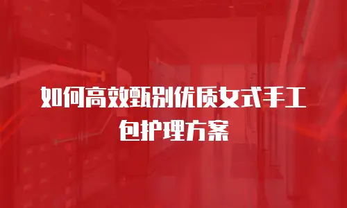 如何高效甄别优质女式手工包护理方案