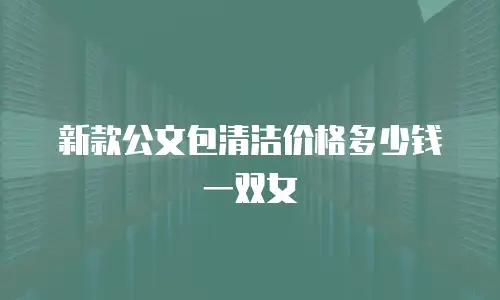 新款公文包清洁价格多少钱一双女
