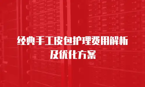 经典手工皮包护理费用解析及优化方案