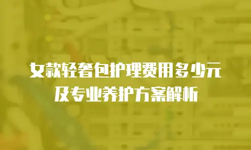 女款轻奢包护理费用多少元及专业养护方案解析