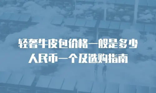 轻奢牛皮包价格一般是多少人民币一个及选购指南