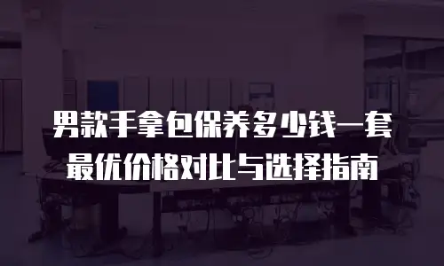 男款手拿包保养多少钱一套 最优价格对比与选择指南