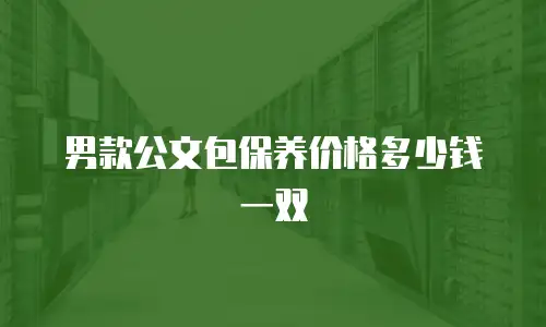 男款公文包保养价格多少钱一双